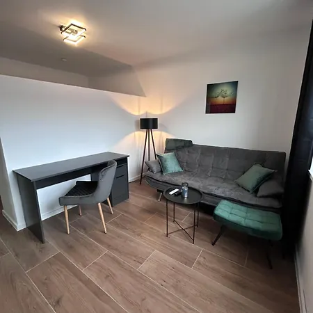 Apartment Hochwertige City & Messewohnung *